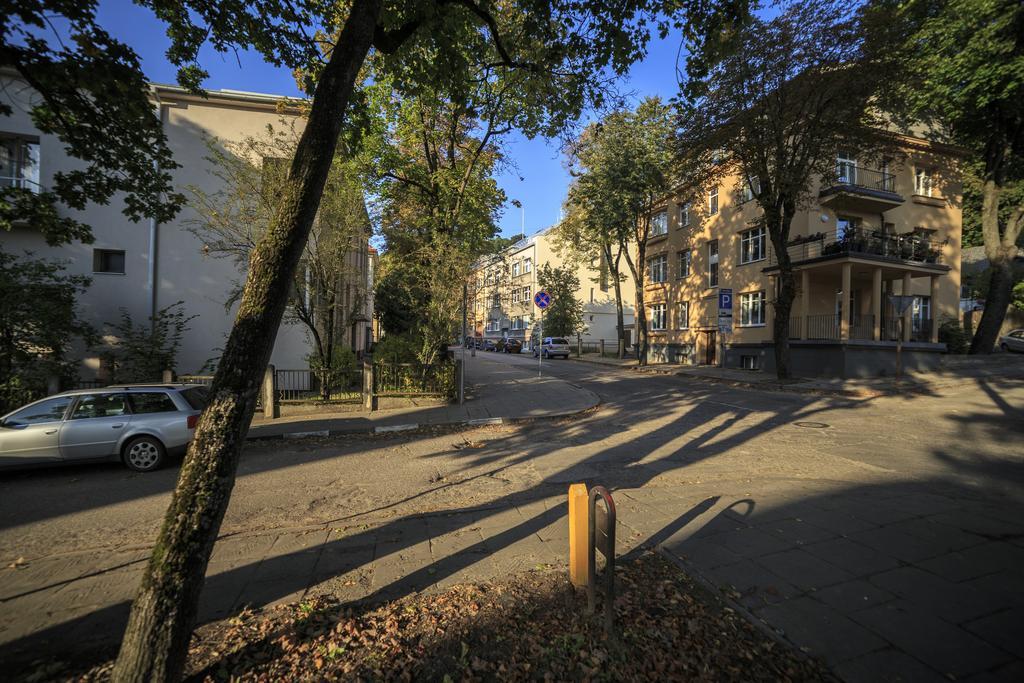 K-Town - City Center Park Studio 考纳斯 外观 照片